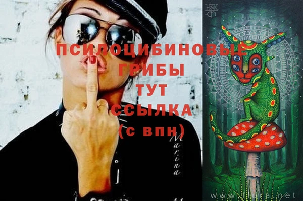 apvp Россошь
