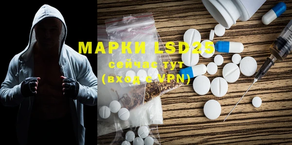 прущие грибы Инсар